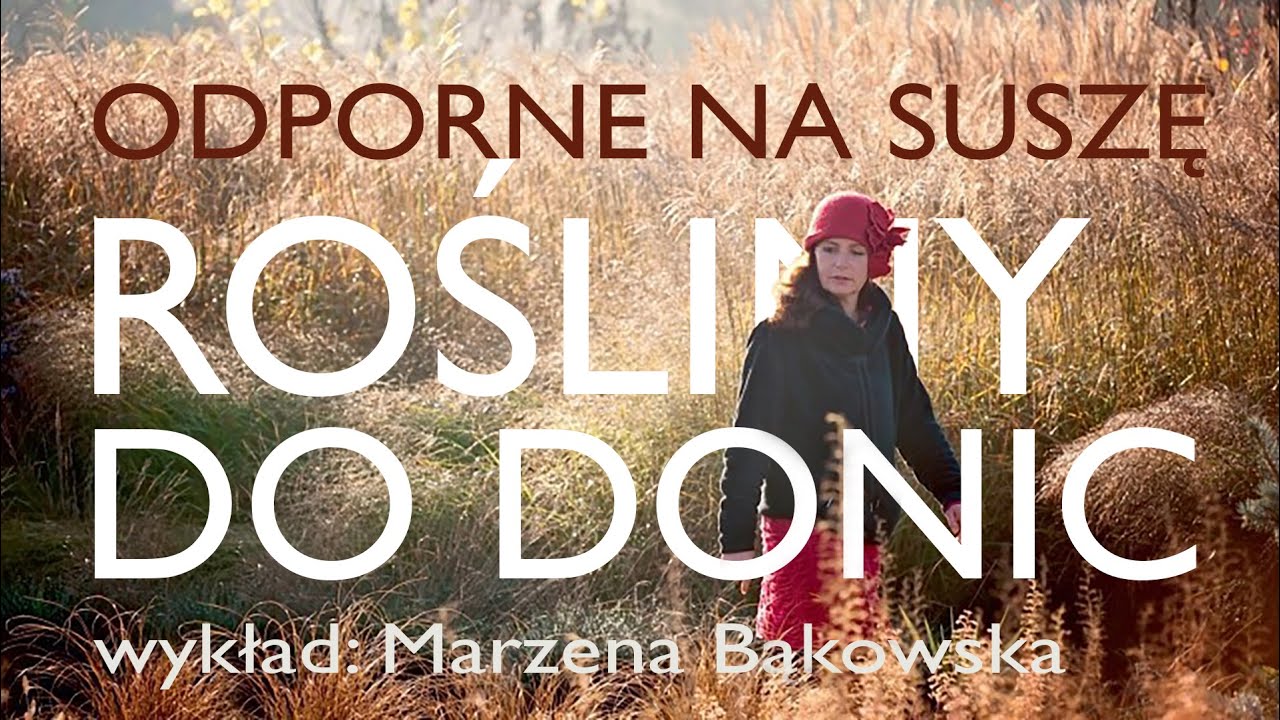 Najtrwalsze rośliny do obsadzania donic - wykład Marzeny Bakowskiej na Zieleń to Życie 2024