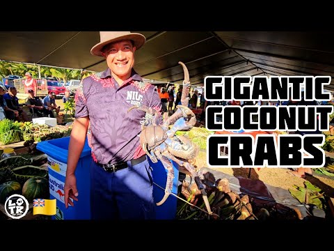 Taros, Coconut Crabs, Food, Dancing! Aliutu Showday Highlights 2025!