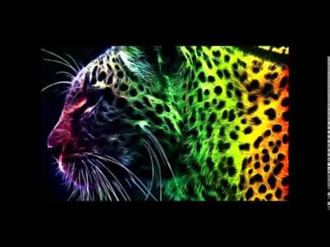 Epic Electro/House Music Mix for Dancing 2014 [Dj Alien King]