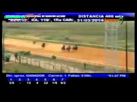 RANCHO ALEGRE 1 CARRERA LUNES 31 DE MARZO DEL 2014