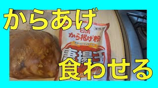 メキシコでメキシコ人にからあげを食わせた..........
