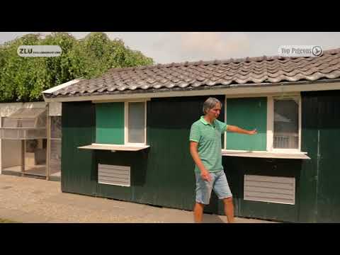 Nationale winnaar ZLU 2018 Barcelona - Jacky de Bruine, Nieuwerkerk