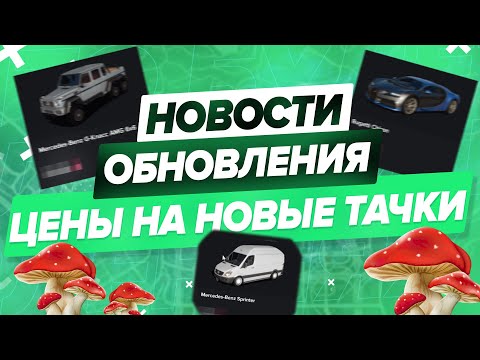 ЦЕНЫ НА НОВЫЕ АВТО | НОВОСТИ ОБНОВЕЛНИЯ | ГРИБЫ ? | MAJESTIC RP | PROMO: PUG