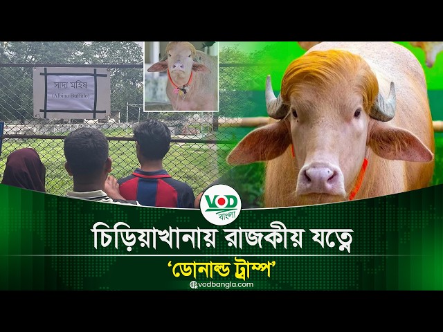 চিড়িয়াখানায় রাজকীয় যত্নে ‘ডোনাল্ড ট্রাম্প