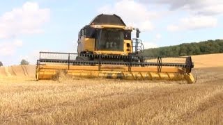 preview picture of video 'Harvest 2009 New Holland Jonh Deere'