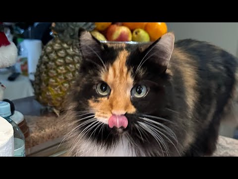 Lemon - I tak będę z Tobą (Bartek Dry cover)