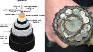 What is Submarine Cables? And What does it Contain?