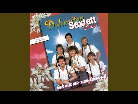 Im Herzen nur die Blasmusik