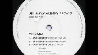 Yekuana - Canis Loopus (Ghost Dancer)