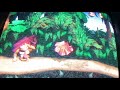 Funny Ways To Die In Donkey Kong Country 1 2 3 Returns