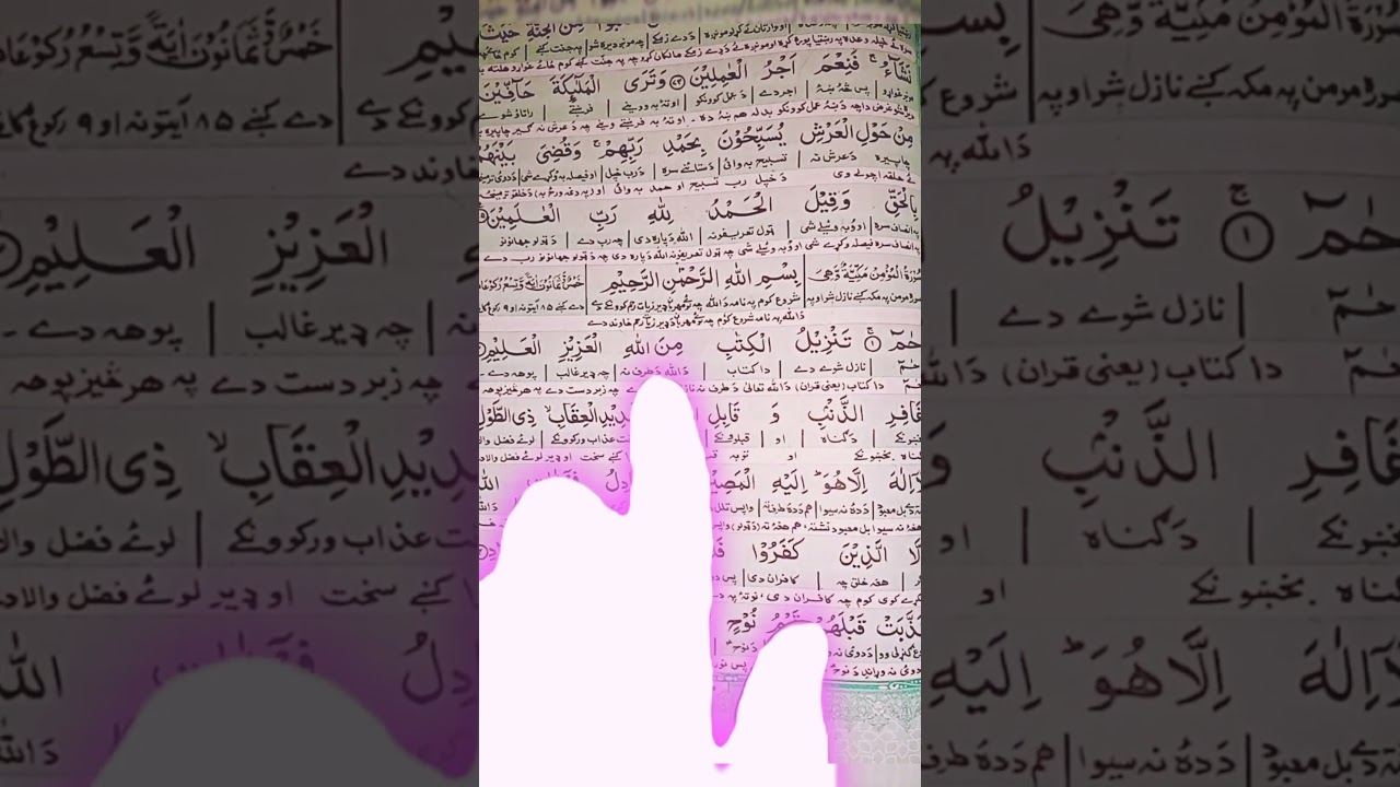Surah Al-Mu'min | Beautiful Quran Recitation | Heart Touching Tilawat #shorts #quran #islam