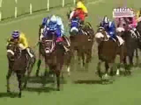 Silver Flyer 3rd win - Racing Association