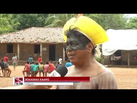 Conheça a cultura dos índios kayapó, no sudeste do Pará