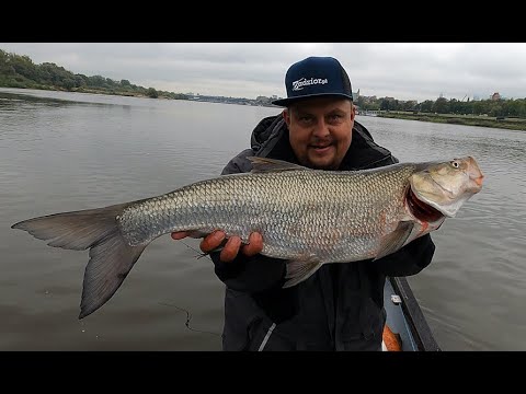 JESIENNE, GRUBE BOLENIE - SPRAWDŻ JAK JE ZŁOWIĆ