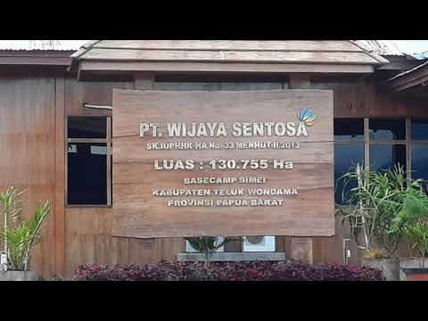 INDONESIAN FORESTER. Lokasi Base Camp terindah se - Indonesia. Log pond HPH 01