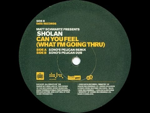 Sholan ‎– Can You Feel (What I'm Going Thru) (Sono's Pelican Remix)