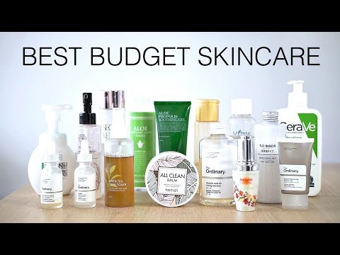 Best Budget Friendly Skincare under $20! Video
