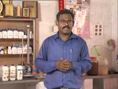 Doordarshan Interview - DD Podhigai Mrs Indumathy