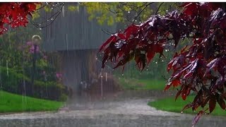 rainy day whatsapp status | rainy season status new | barish status | nature status |