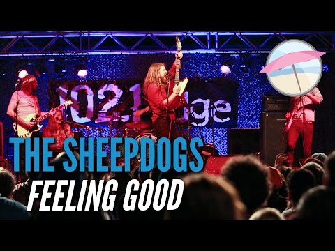 The Sheepdogs - Feeling Good (Live at the Edge)