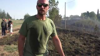 brucia-camporeale-ad-ariano-salvata-una-pineta