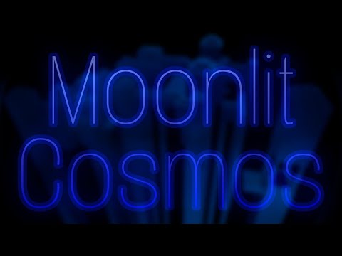 Moonlit cosmos [Tier 15] - Verification