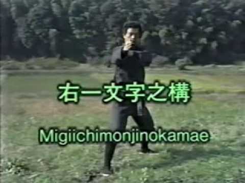 Bujinkan Gyokko Ryu Massaki Hatsumi