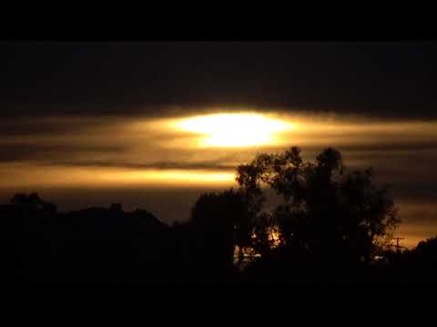 William Tyler and Luke Schneider - The Witness Tree