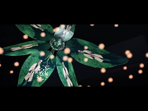 Openside - Letting It Out (Official Music Video)