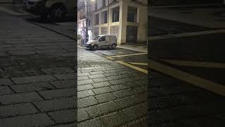 topo-a-spasso-tra-le-luminarie-di-natale-ad-avellino