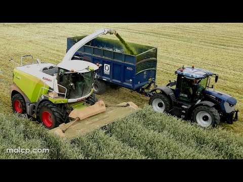 4k Harvest 2023 - Claas Jaguar 970 & JCB Fastrac & Unimog. O J Neil Contracting Ltd. Whole crop rye.