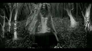 Witch&#39;s Promise | Jethro Tull