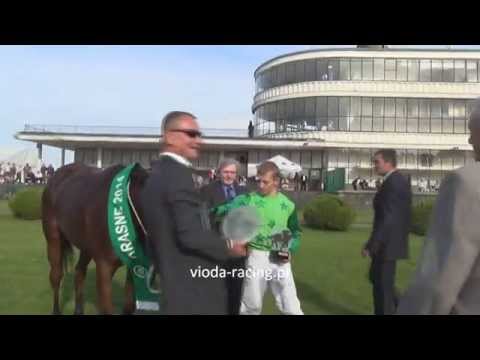 Gon. V (N. SK Krasne) - 30.08.2014 - Zielona Herbatka (Azamour - Silk Road)