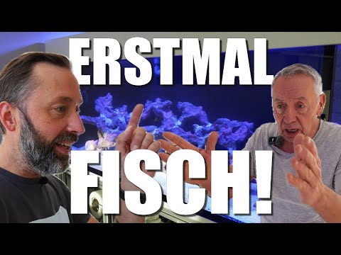 This is how we START saltwater aquariums!!!