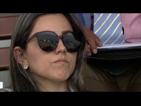 Fuerza Amarilla 1:4 Olmedo