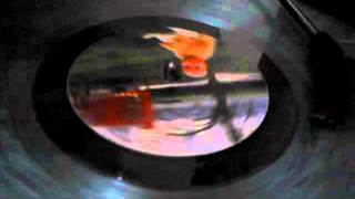 Catherine Wheel - Eat my dust you insensitive fuck