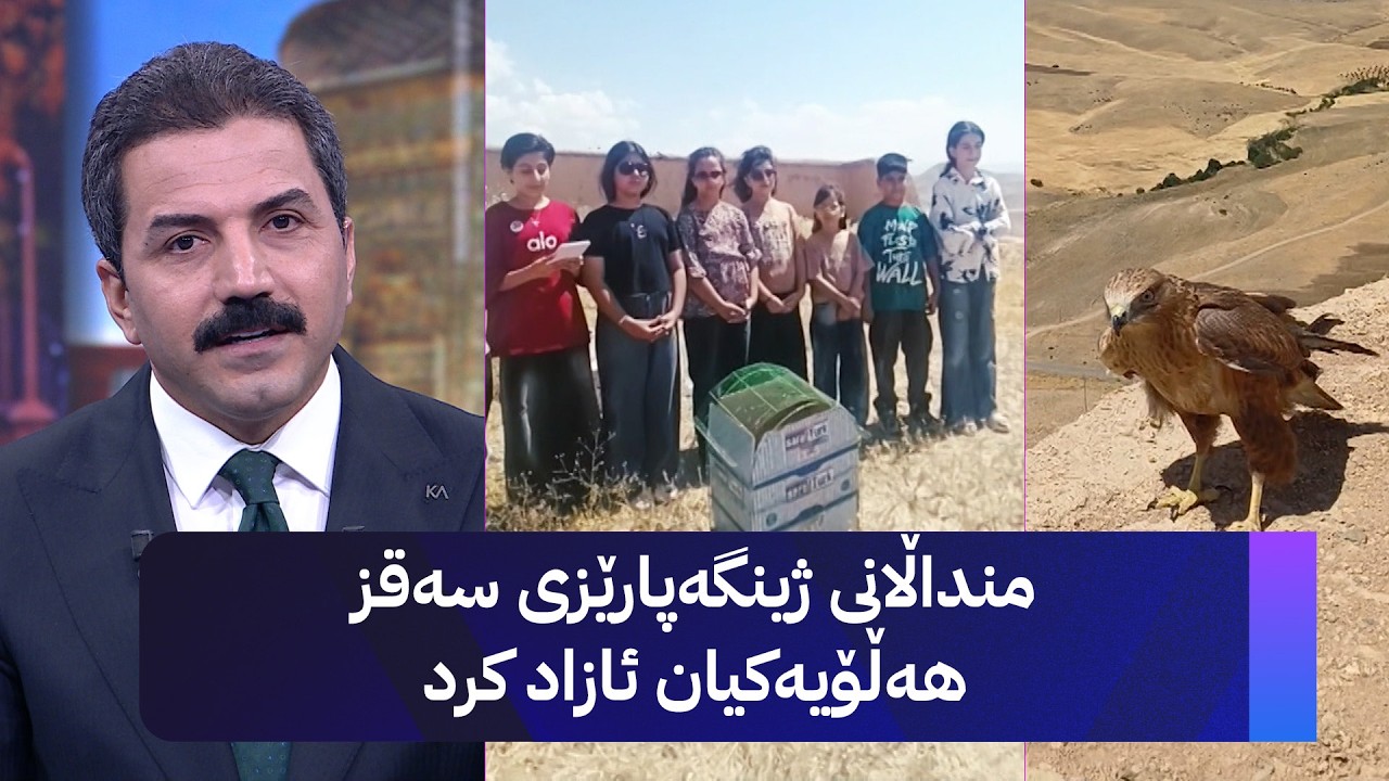 ڤیدیۆ | منداڵانی ژینگەپارێزی سەقز هەڵۆیەکیان ئازاد کرد