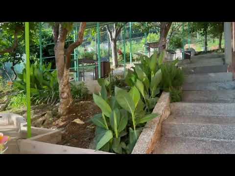 Гостевой дом «Арлен» - Цандрипш, ул. Октябрьская, 60 видео