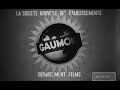 Gaumont 1962 B W