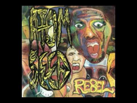 Atom Seed - Fools To Fall