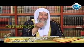 قصص القرآن 8 قصة طالوت وجالوت