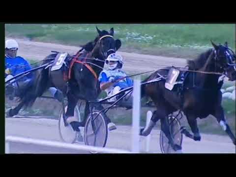 Napoli Trotto 06/11/2022 - 7ª corsa