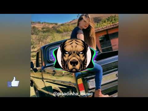 PISADINHA DE LUXO/VITOR FERNANDES(SÓ EU QUE AMEI)HIT 2021