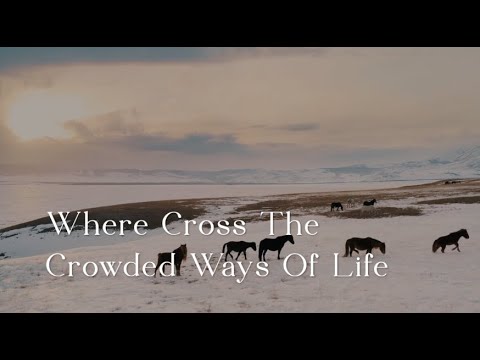 355 SDA Hymnal - Where Cross The Crowded Ways Of Life (Singing w/ Lyrics)