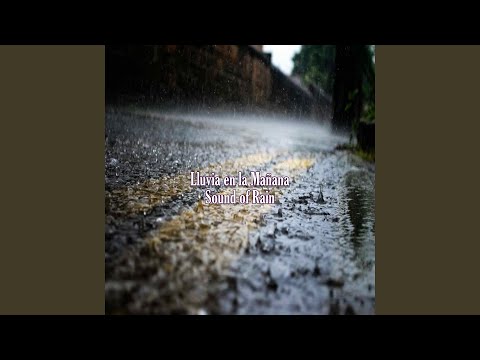 Lluvia en la Mañana