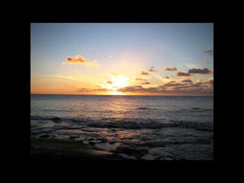 Cor Fijneman vs. Willem Van Hanegem - Mega (Original Mix)