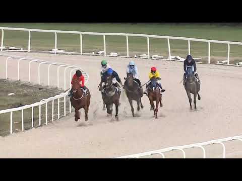 2023.04.09. 07. futam - FENÉKPUSZTAI DÍJ (II.kat.) (szintetikus pálya)