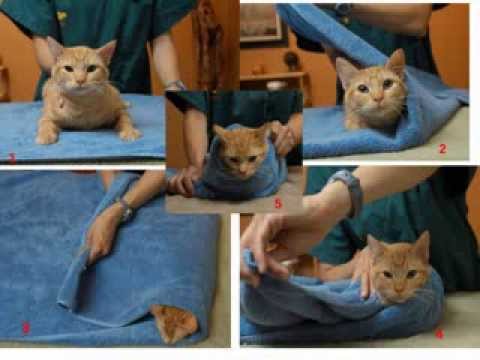 Dhenia e tabletave tek macet