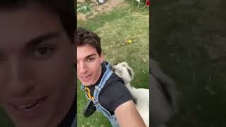 Download lagu How to Survive a Rhea Attack #shorts mp3 Download lagu How to Survive a Rhea Attack #shorts mp3