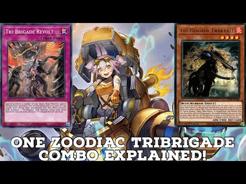One Simple Zoodiac Tri-Bridgade Combo Explained Step By Step